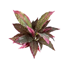 Bespaar nu | Cordyline groen/rood - kunstplant