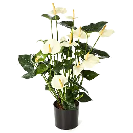 Populair bij klanten | Anthurium wit XL - kunstplant