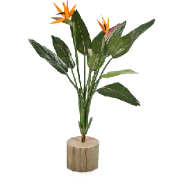Strelitzia Reginae tak - kunstplant | Superprijs