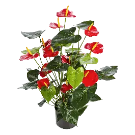 Anthurium rood XL - kunstplant - Fabrieksprijs