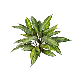 Lage prijs - Dracaena - kunstplant