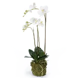 Orchidee mos wit - kunstplant | Klantfavoriet