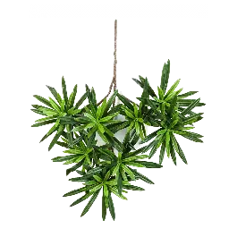 Online kopen | Podocarpus tak - kunstplant