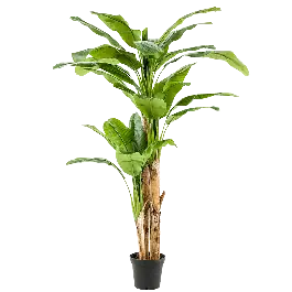 Nieuw in het assortiment - Bananenboom XXL - kunstplant