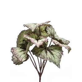 Populair | Begonia - kunstplant