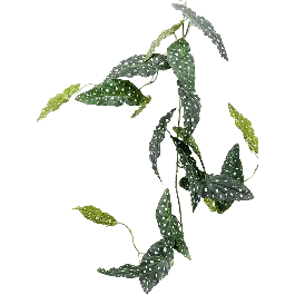 Hoge kwaliteit - Begonia Maculata - kunstplant