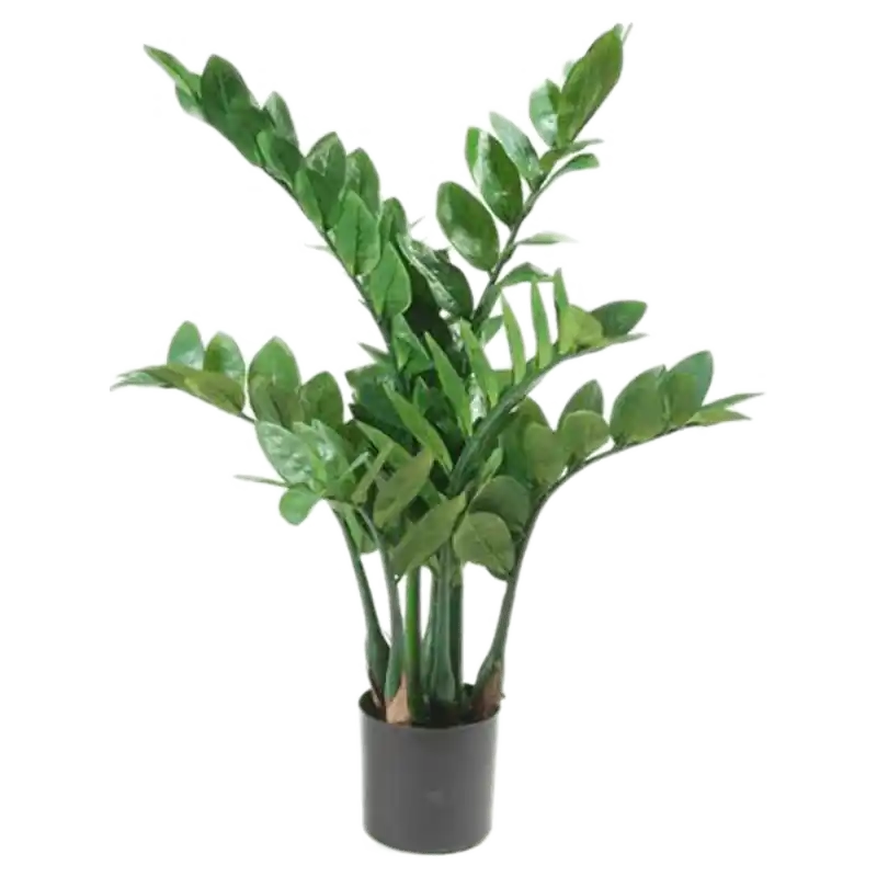 Shop nu | Zamioculcas - kunstplant