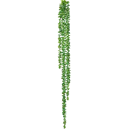 Bestel vandaag - String of Pearls - kunstplant