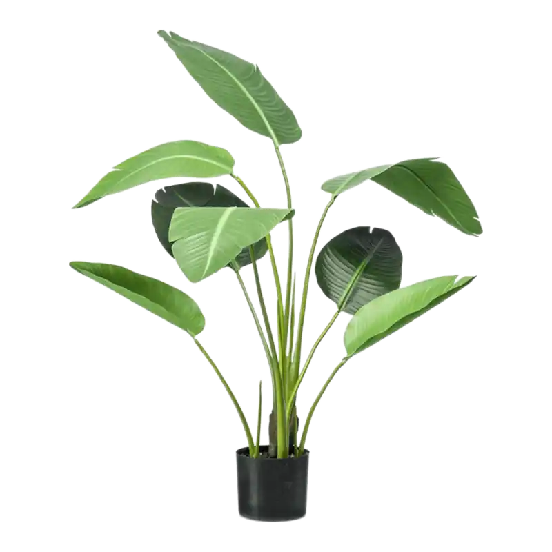 Strelitzia - kunstplant | Direct kopen