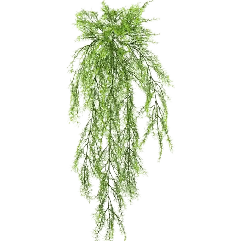 Asparagus Sprengeri - kunstplant | Nieuw binnengekomen