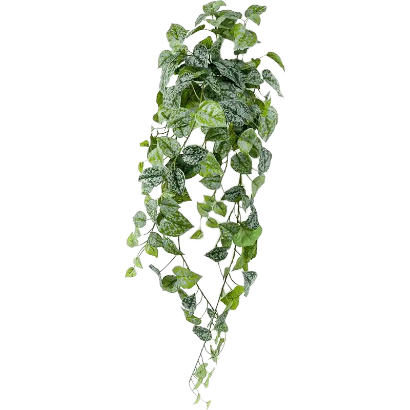 Direct leverbaar | Scindapsus Pictus - kunstplant