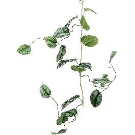 Nog enkele stuks | Scindapsus Pictus blad - kunstplant