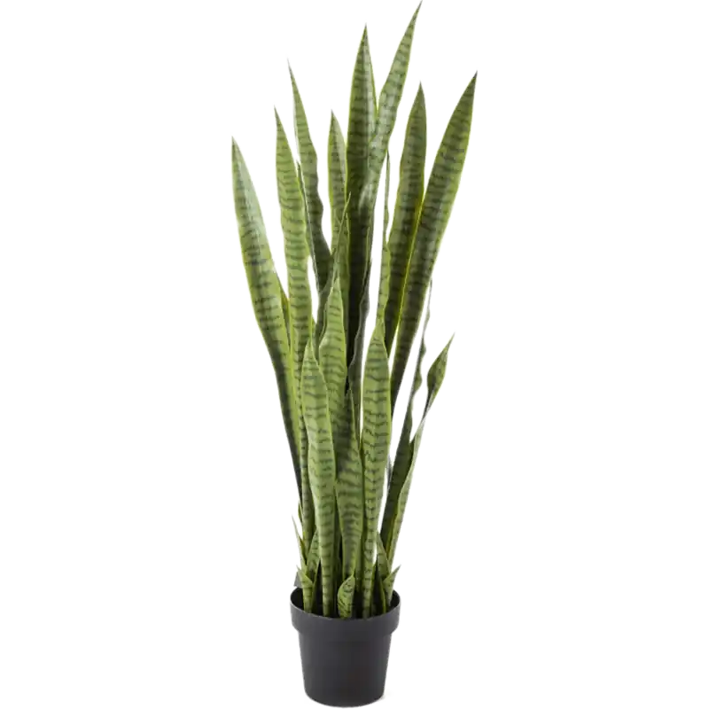 Sansevieria - kunstplant - Bestel vandaag
