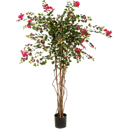Alleen vandaag - Bouganvillea Nitida - kunstplant