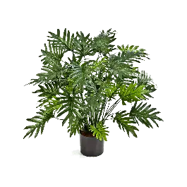Philodendron Xanadu Bush - kunstplant - Prijsverlaging