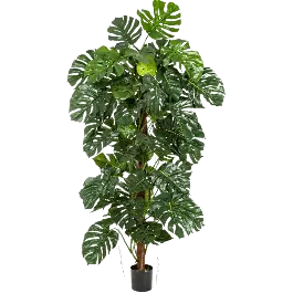 Speciale deal | Monstera deliciosa zuil - kunstplant