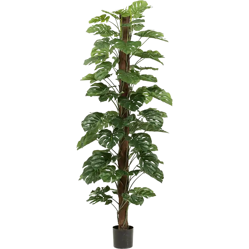 Bestel nu - Monstera deliciosa XL - kunstplant