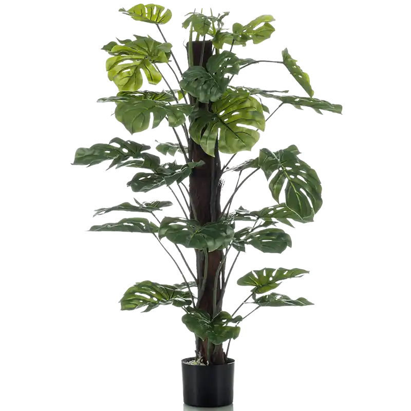 Monstera deliciosa - kunstplant | Shop nu