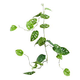 Monstera adansonii blad - kunstplant - Populair