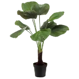 Licuala palm - kunstplant - Topprijs