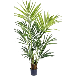 Kentia palm - kunstplant - Voordelig