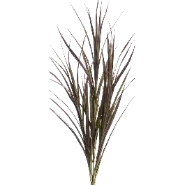Shop nu | Burgundy gras - kunstplant