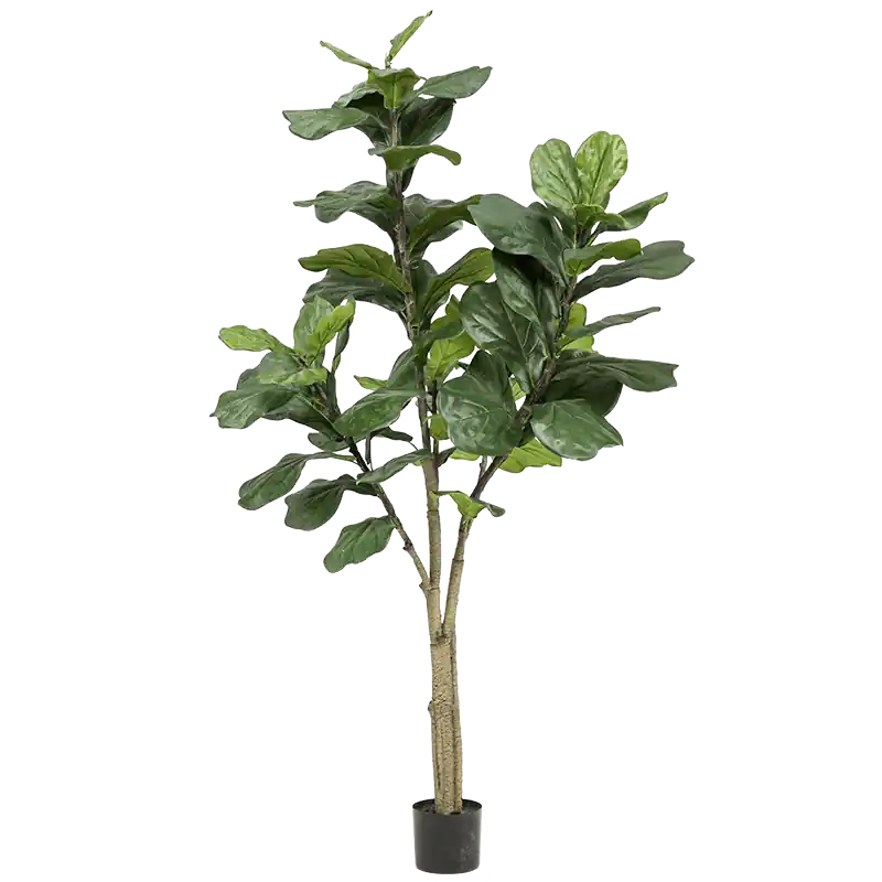 Voorraad bijna op | Ficus Lyrata vertakt - kunstplant