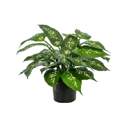 Dieffenbachia - kunstplant | Bijna uitverkocht