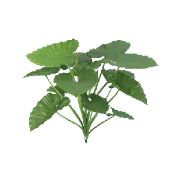 Speciale aanbieding - Alocasia Calidora bush - kunstplant