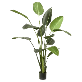 Strelitzia XXL - kunstplant - Expreslevering