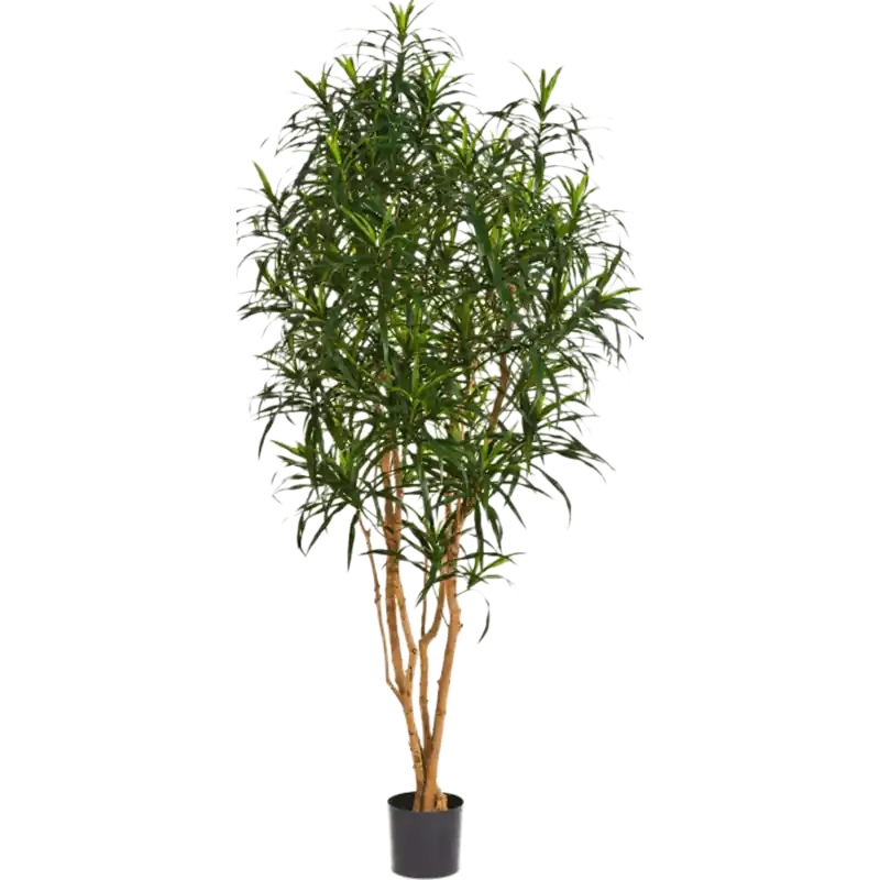 Nog enkele stuks | Dracaena Anita Tree - kunstplant