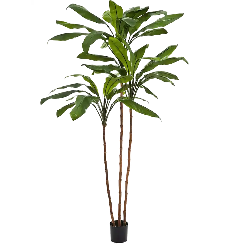 Cordyline Fruticosa Tree - kunstplant - Aanbieding