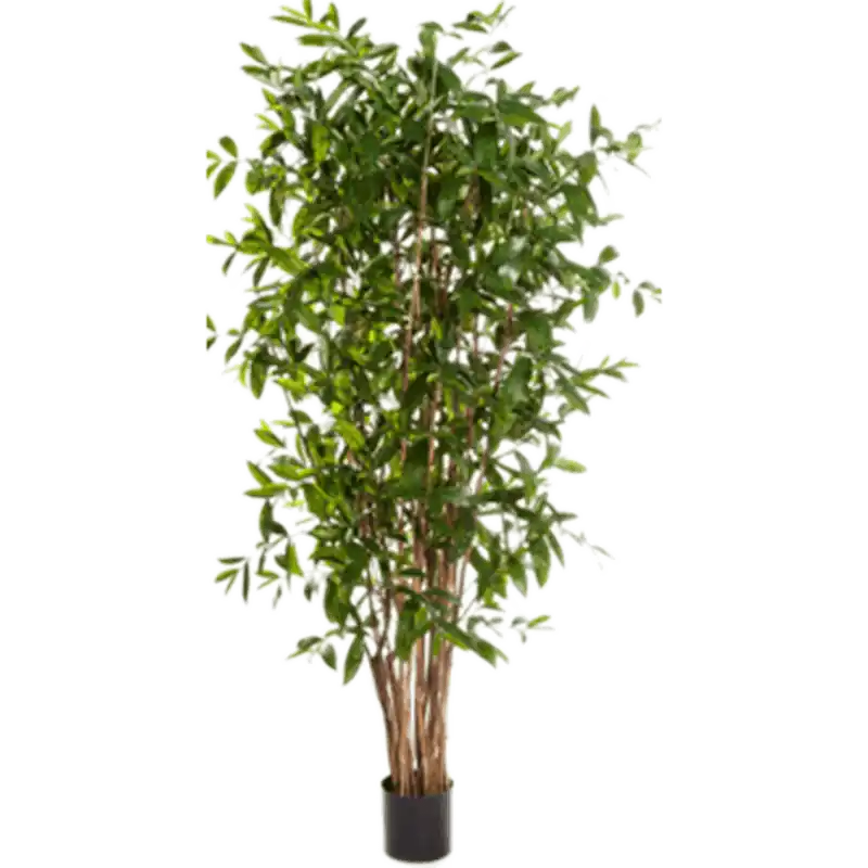 Dracaena Surculosa Tree - kunstplant | Scherpe prijs