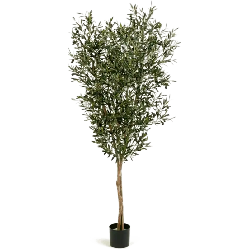 Olijfboom natural op stam - kunstplant - Trending