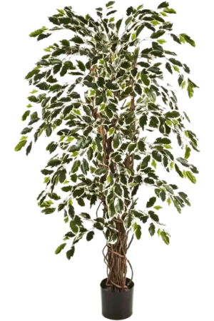 Zojuist toegevoegd | Ficus Liana variegata - kunstplant