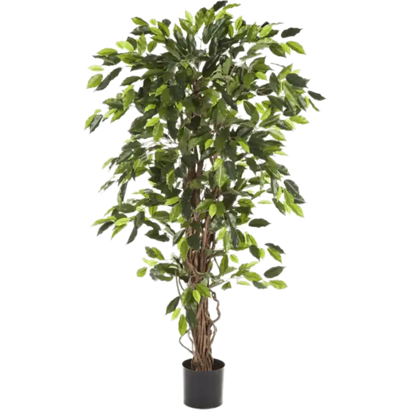 Goed beoordeeld | Ficus Liana - kunstplant