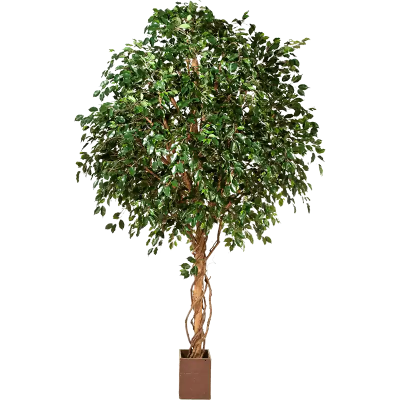 Ficus exotica op stam XXL - kunstplant - Hoge kwaliteit