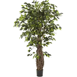 Populair | Ficus Liana XXL - kunstplant