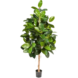 Scherpe prijs - Ficus elastica op stam - kunstplant