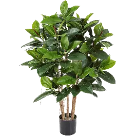 Nieuw - Ficus elastica vertakt - kunstplant
