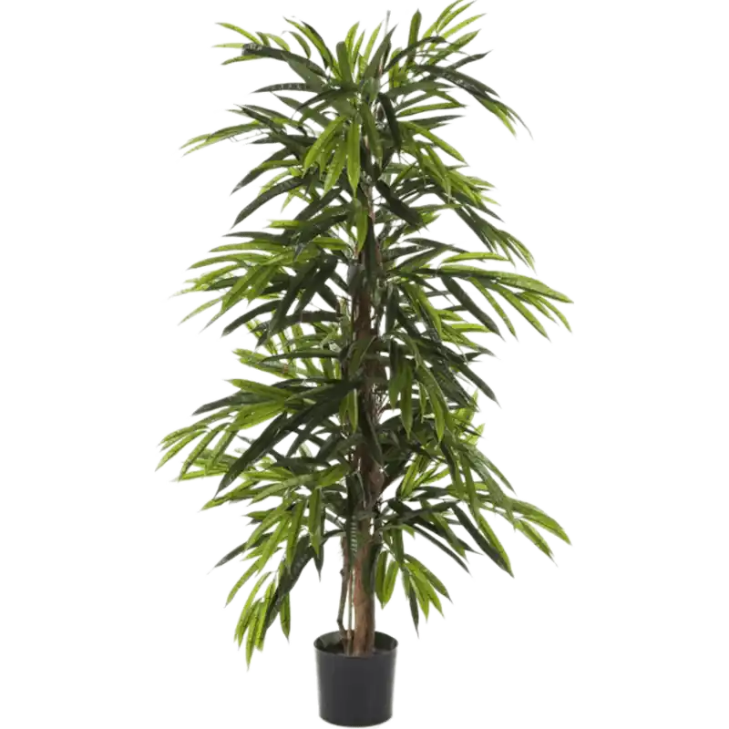 Ficus longifolia - kunstplant | Mis het niet