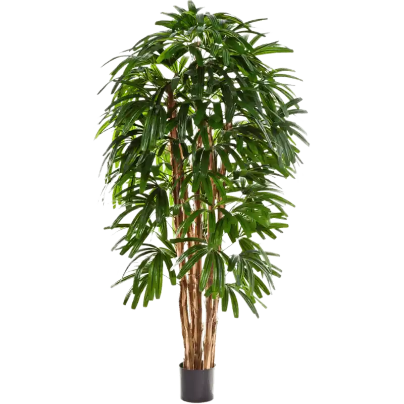 Nieuw binnen | Rhapis palm - kunstplant