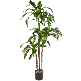Vanaf nu beschikbaar - Dracaena Fragrans Steud Green - kunstplant