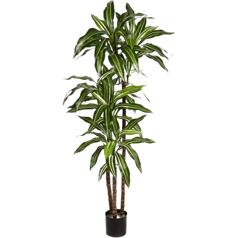 Dracaena Fragrans Green-White - kunstplant - Hoge kwaliteit