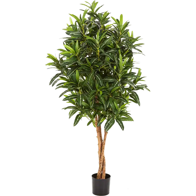 Tijdelijke actie - Croton groen - kunstplant