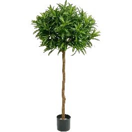 Croton groen op stam - kunstplant | Nu beschikbaar
