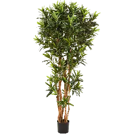 Veel gekozen | Croton groen vertakt - kunstplant