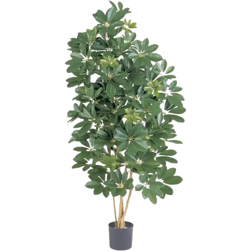 Schefflera - kunstplant - Voordeelprijs