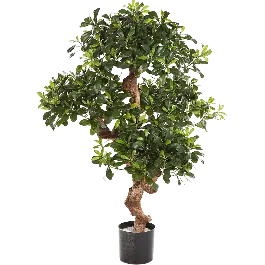 Laurier bonsai - kunstplant | Zeer goed beoordeeld