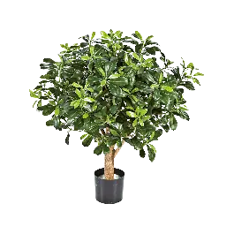 Speciale deal - Laurier bol - kunstplant